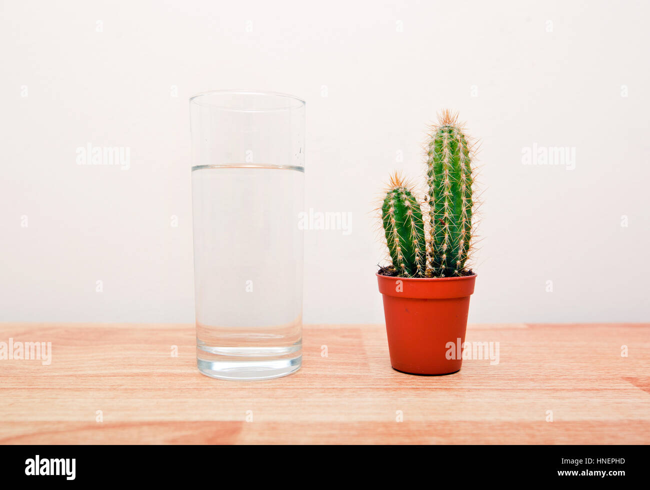 Drink water cactus hi-res stock photography and images - Alamy