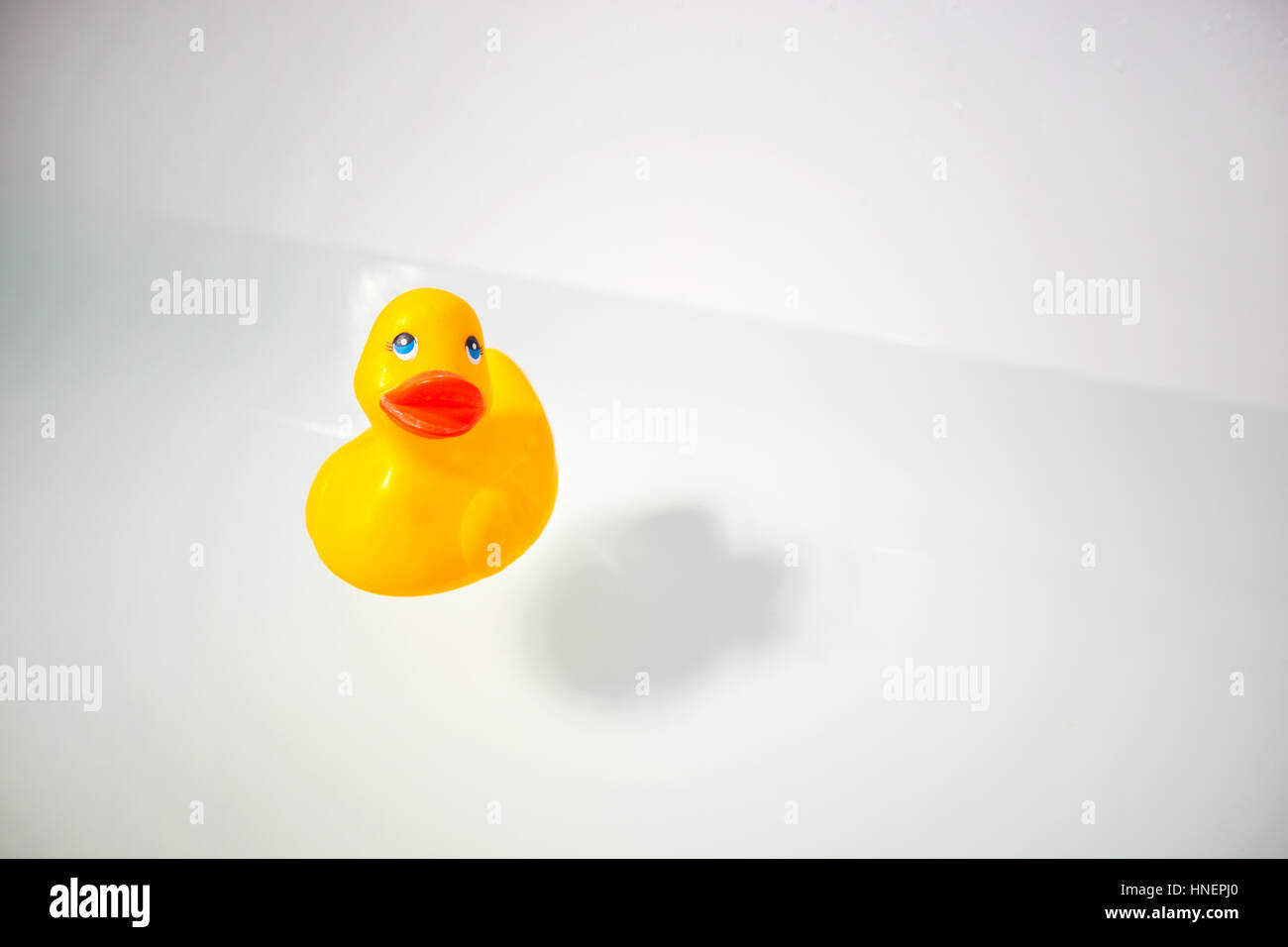 Rubber duck in bathtub Stock Photo Alamy