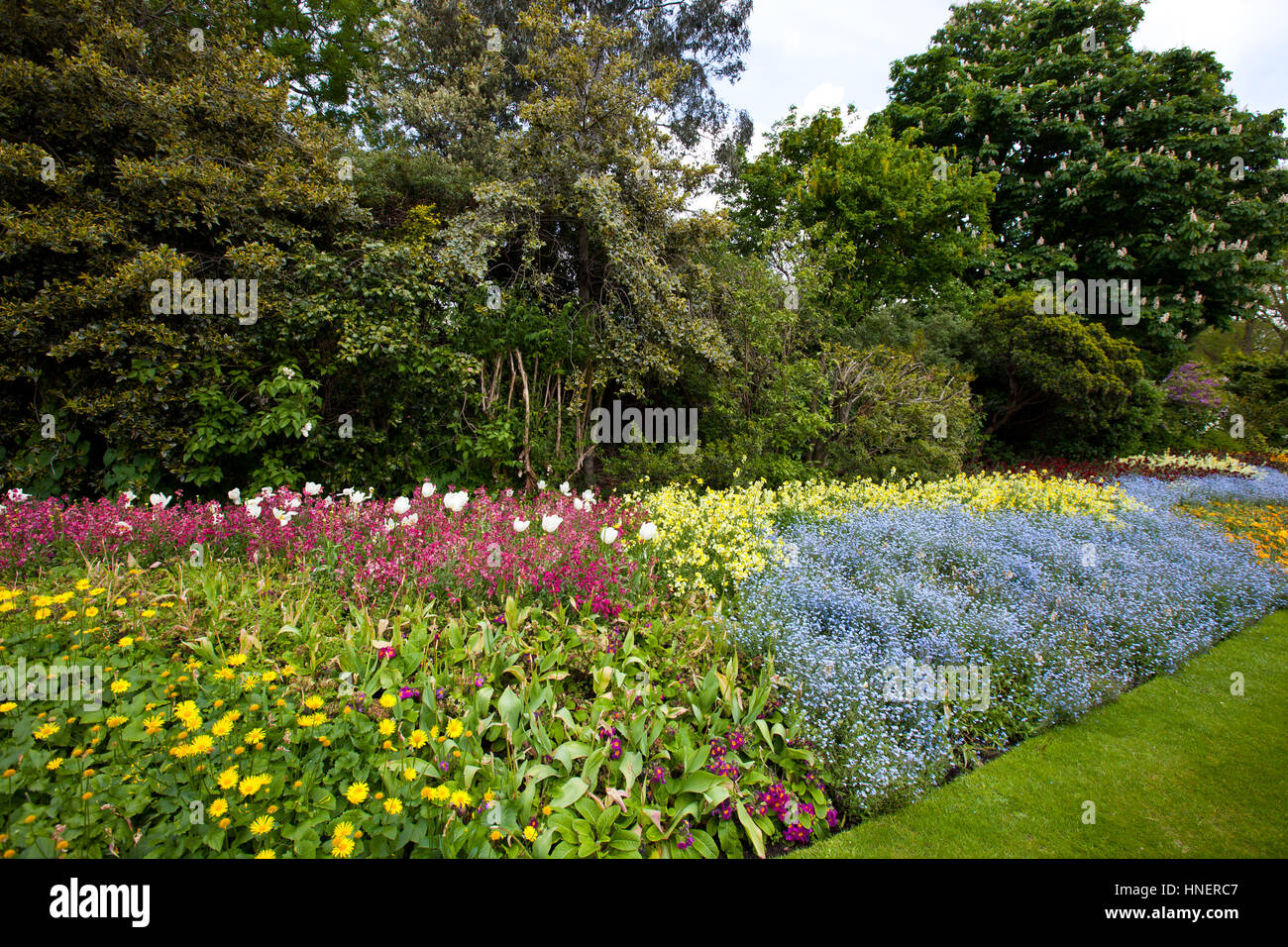 Large flower bed and trees Stock Photo