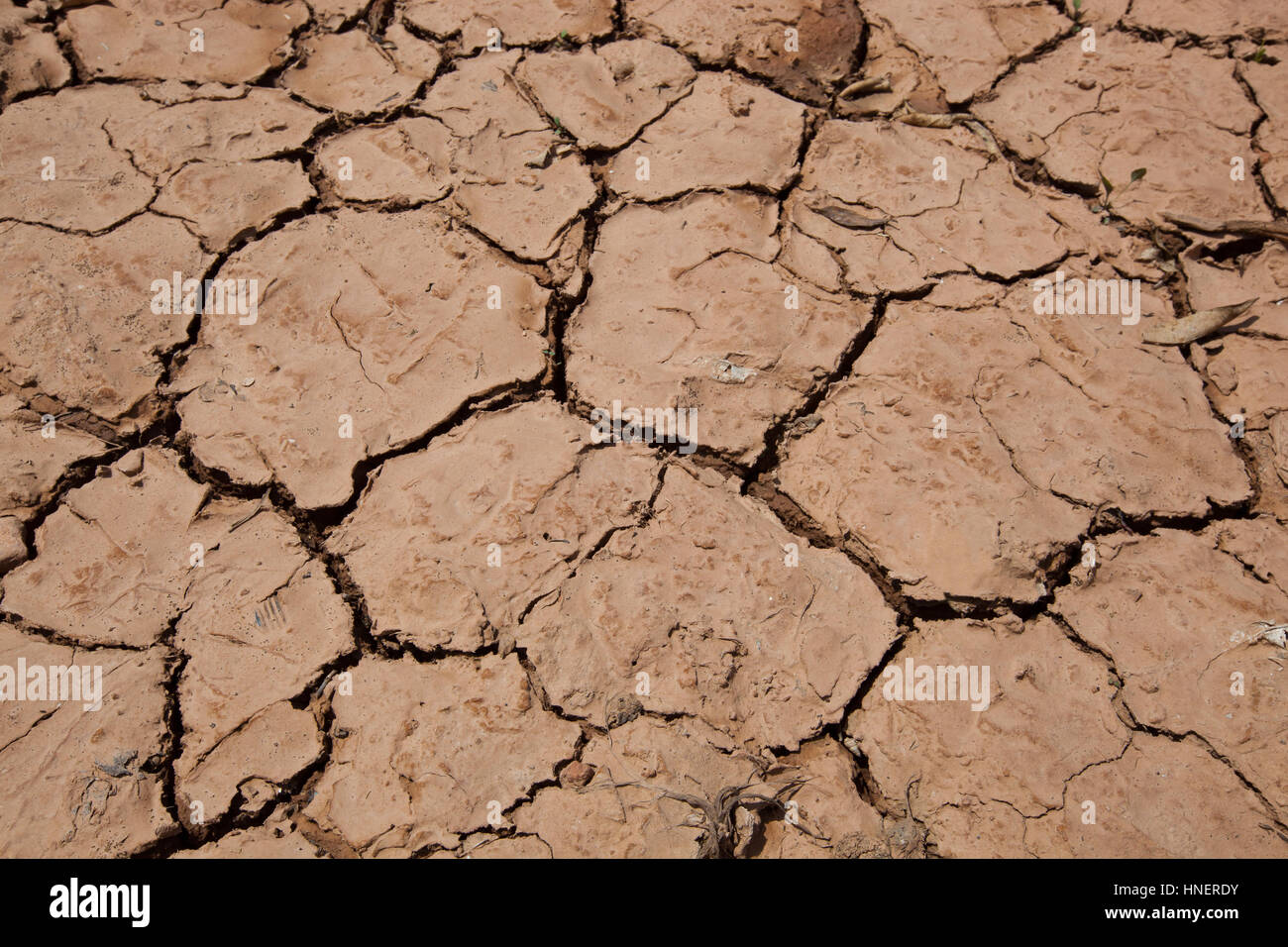 Close-up view of dry cracked soil Stock Photo