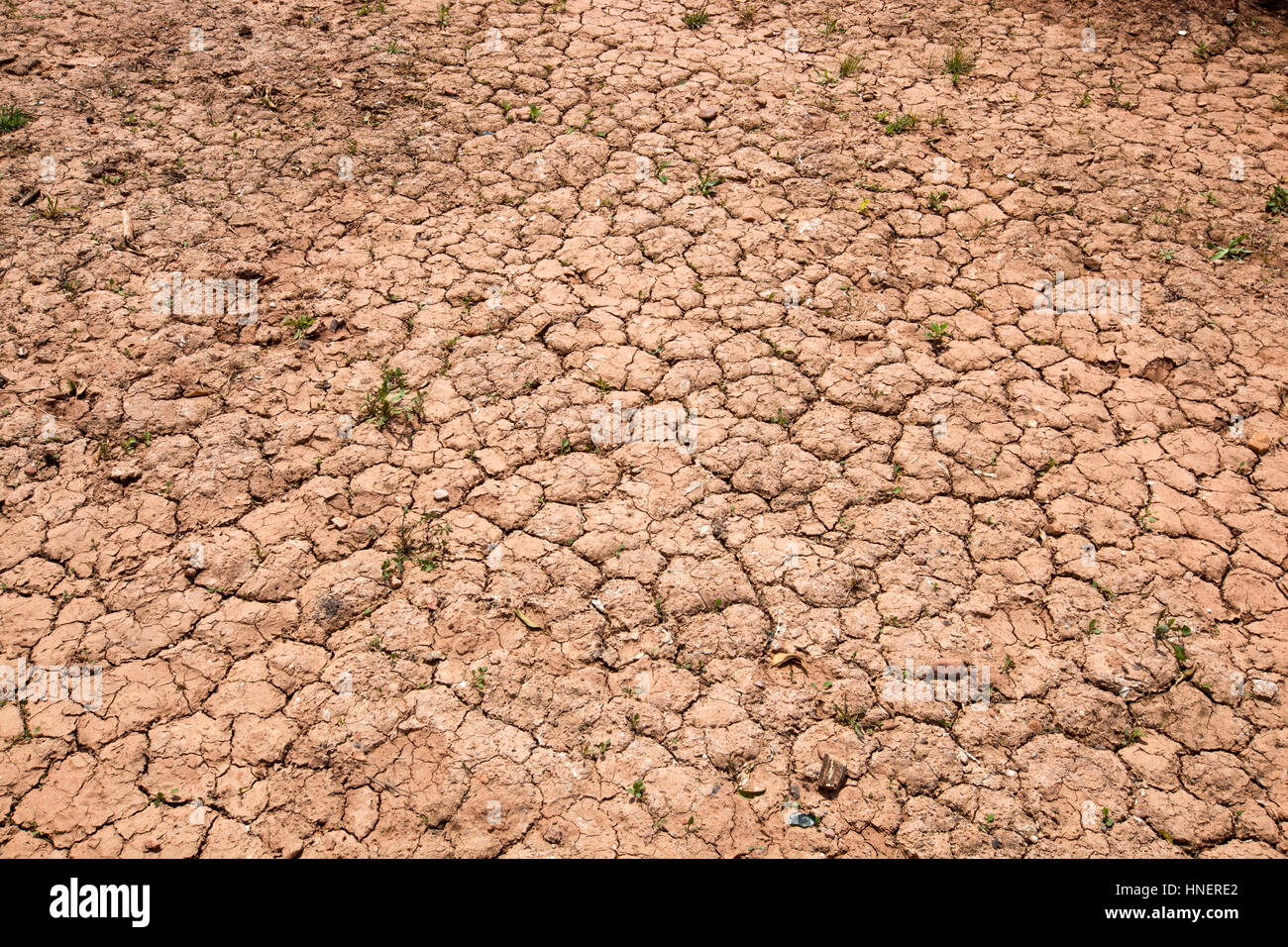 Dry cracked red soil Stock Photo