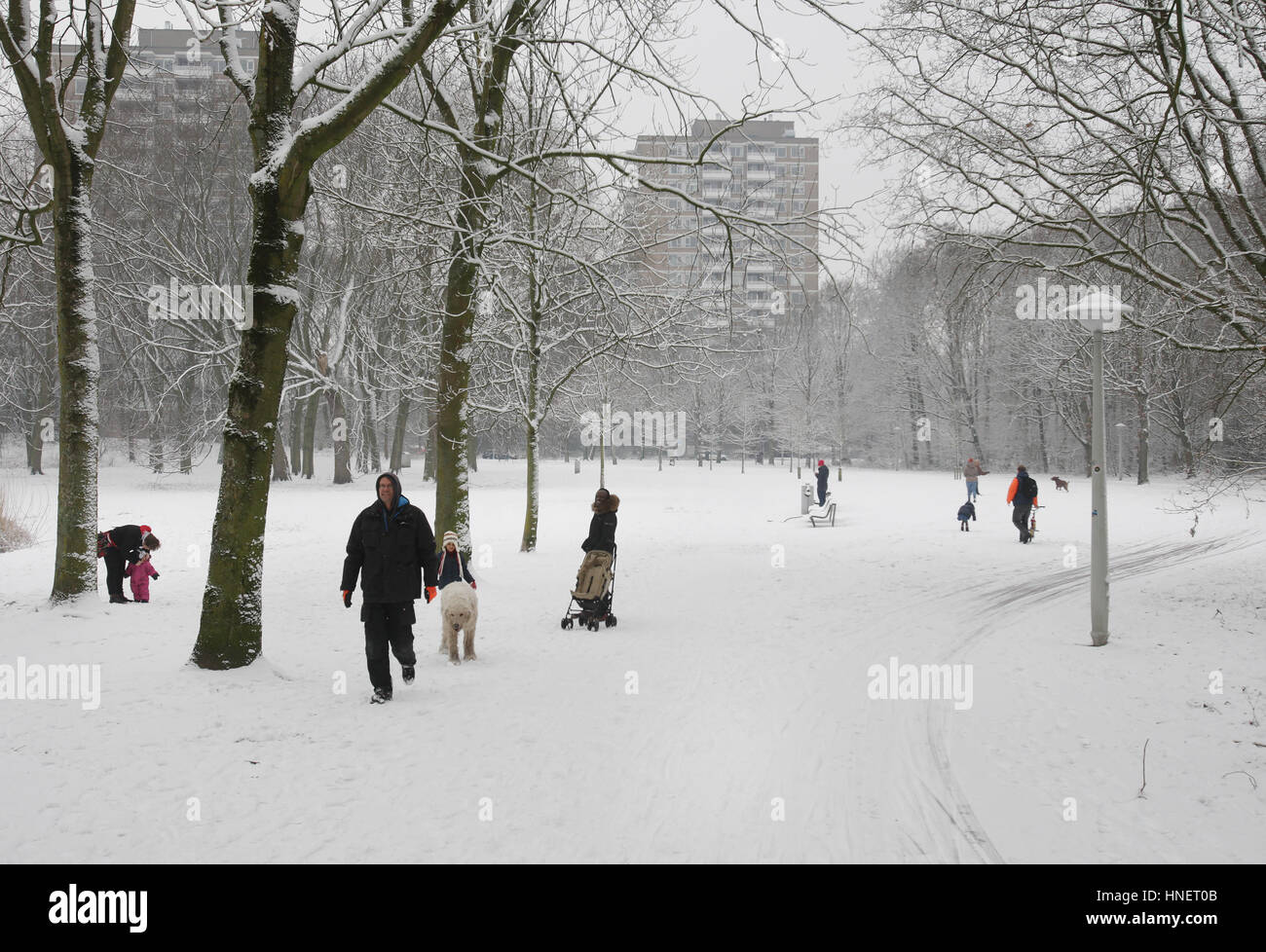 Dailky Life People enjoying in the Rembrandt park covered in snow on