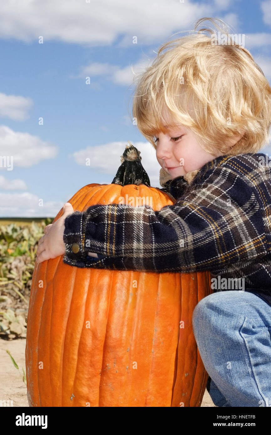 a young boy trying to lift a pumpkin Stock Photo - Alamy