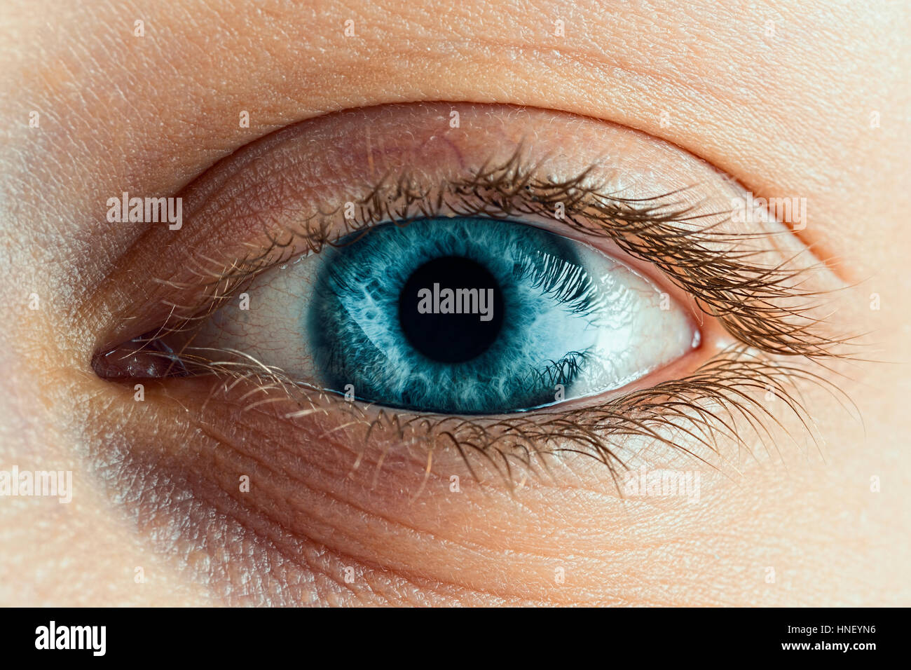 Female Blue Eye With Long Lashes Close Up. Human Eye Macro Detail. Stock Photo