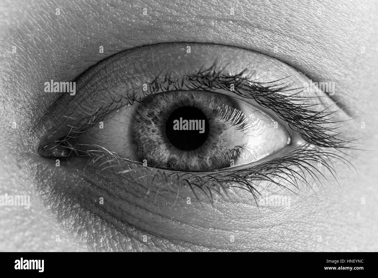 Female Bright Eye With Long Lashes Close Up. Human Eye Macro Detail. Stock Photo