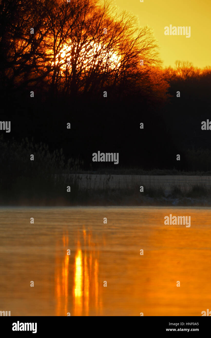 Sunrise over Leiner Lake in winter, Auwaldsee in winter at sunrise, Middle Elbe Biosphere Reserve, Saxony-Anhalt, Germany Stock Photo