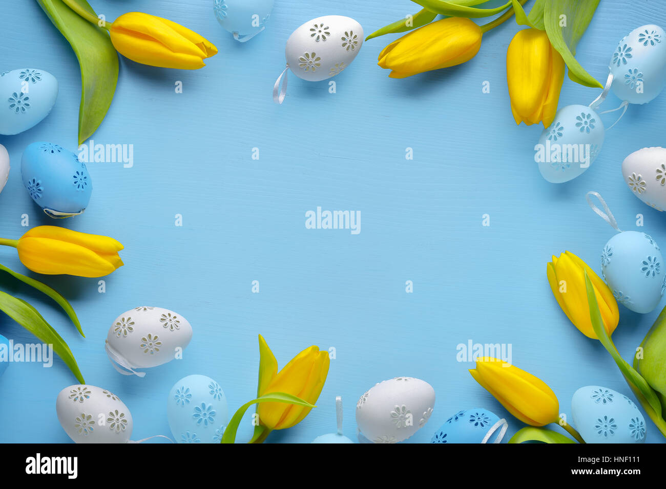 Easter eggs with tulip flower on blue background Stock Photo