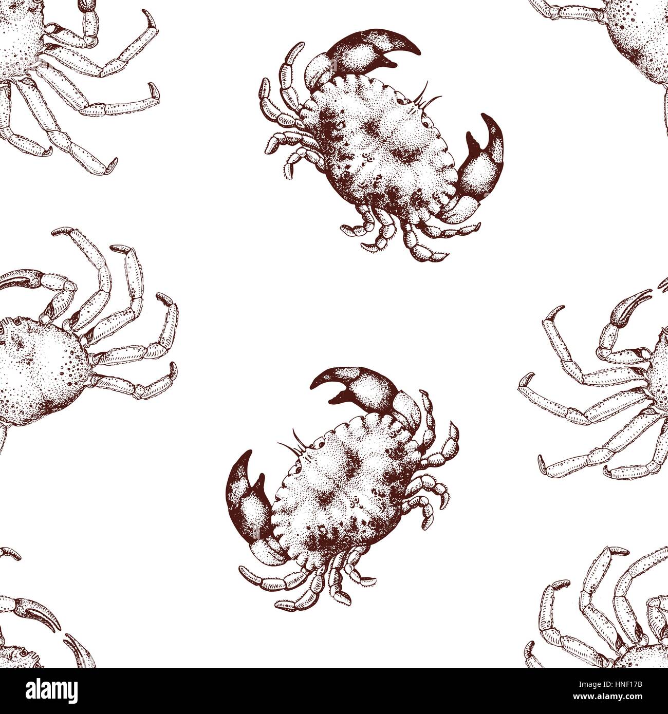 Vector seafood seamless pattern with crabs. Retro hand drawn ...