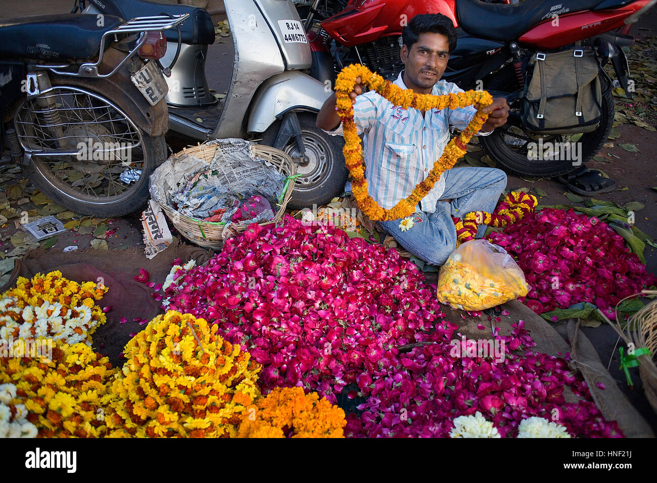 Jaipur flower market hires stock photography and images Alamy
