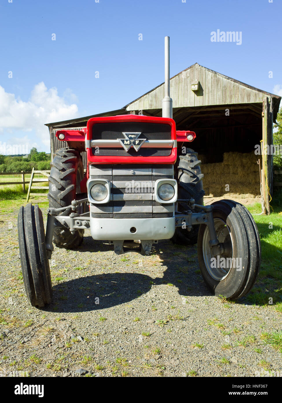 Classic tractor Massey Ferguson 135 Stock Photo
