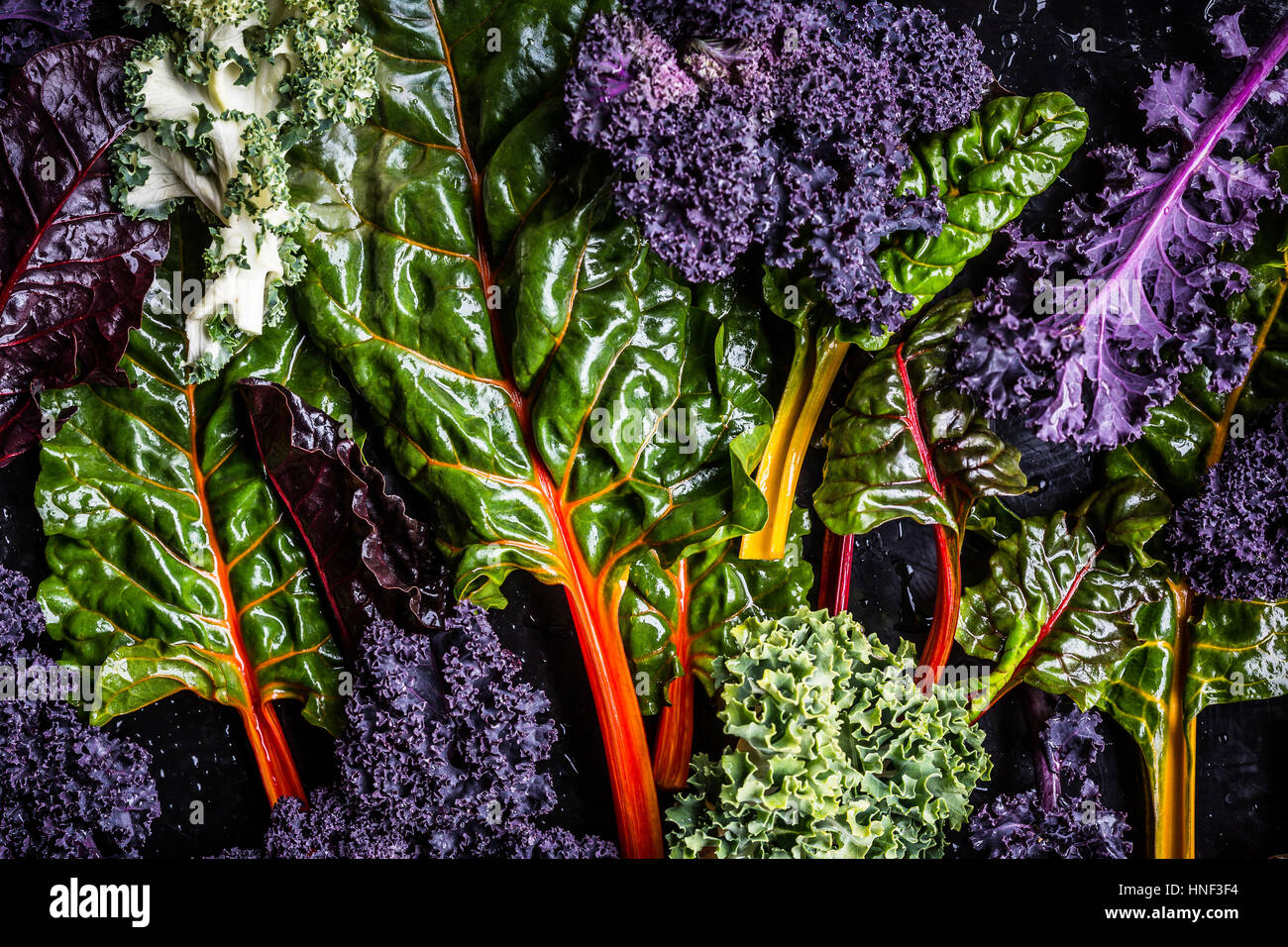 Freshly Harvested Kale Vegetable Varieties Stock Photo Alamy