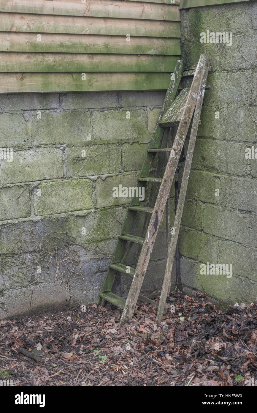 Old step ladder in a forgotten corner of a yard. Metaphor for career ladder, or getting on the property ladder / housing ladder. Stock Photo