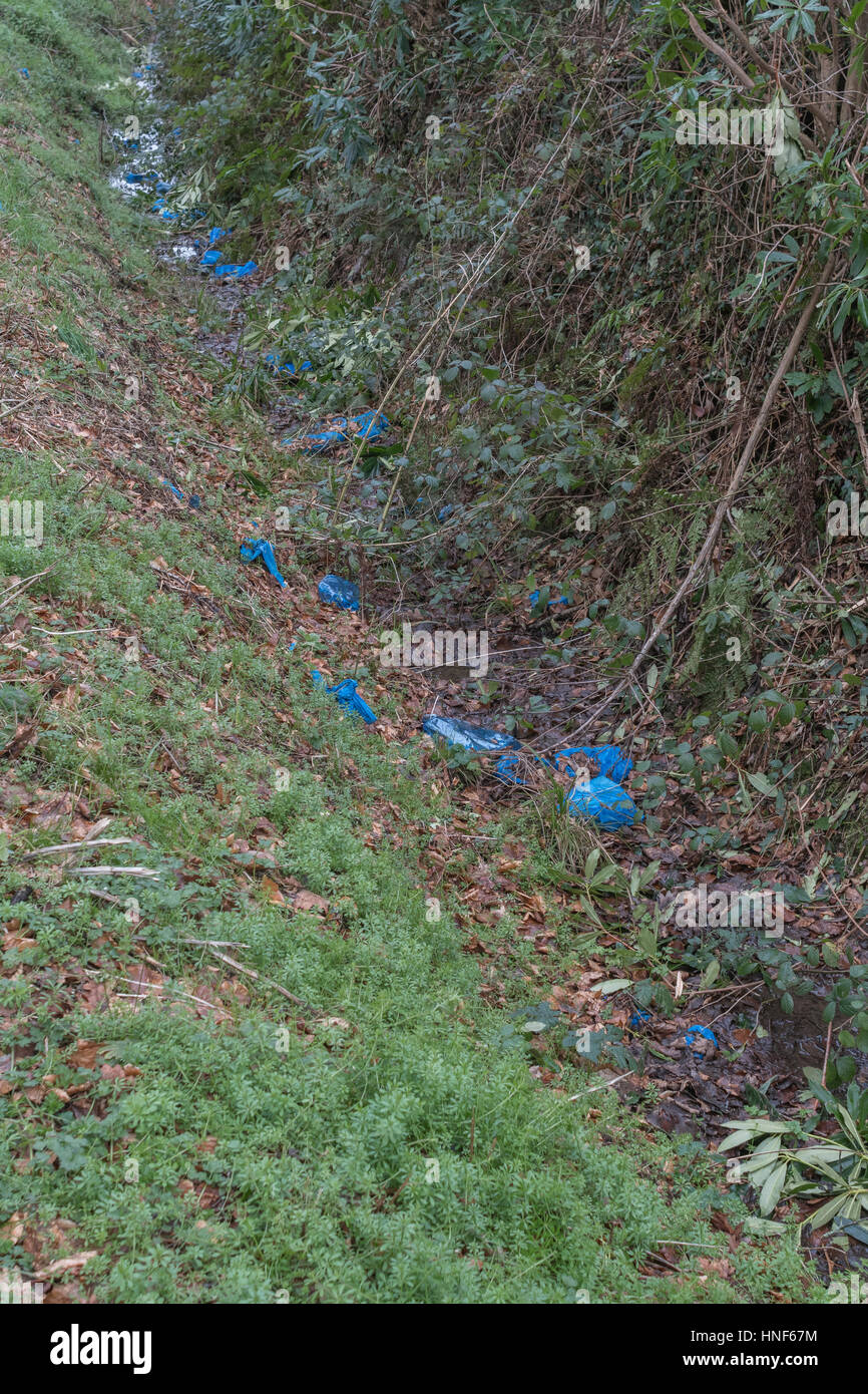 Environmental pollution in form or roadside and hedgerow rubbish discarded by the public. Plastic waste concept, war on plastic, plastic rubbish. Stock Photo