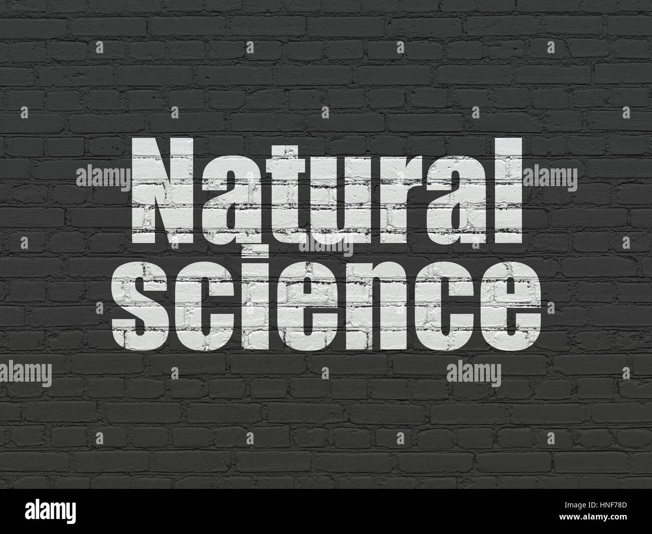 Science Written For Background Science concept: Painted white text Natural Science on Black Brick wall ...