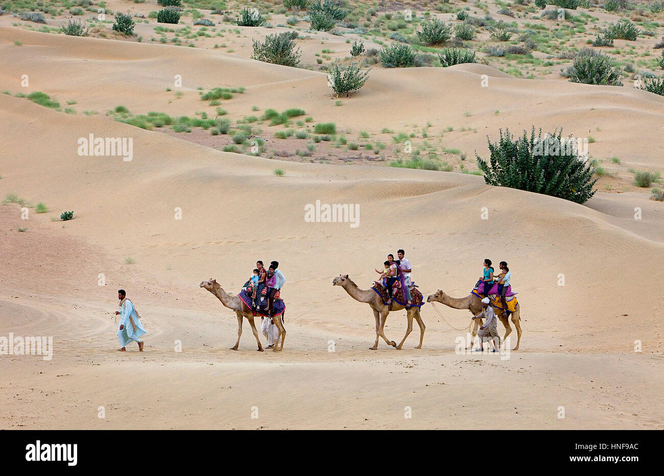 Tourists riding camels on Sam dunes in Desert National Park in the Great Thar Desert,near Jaisalmer, Rajasthan, India Stock Photo