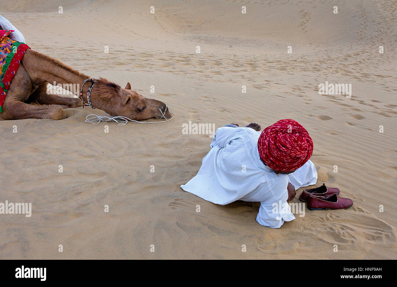 Man with camels on Sam Dunes in Desert National Park in the Great Thar Desert,near Jaisalmer, Rajasthan, India Stock Photo