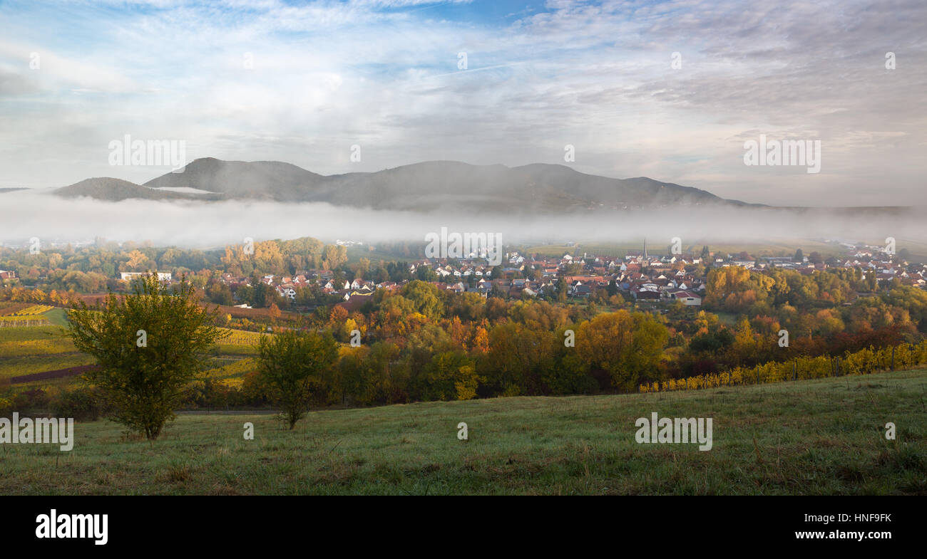 Wine village in the morning, Pfalz, Germany Stock Photo