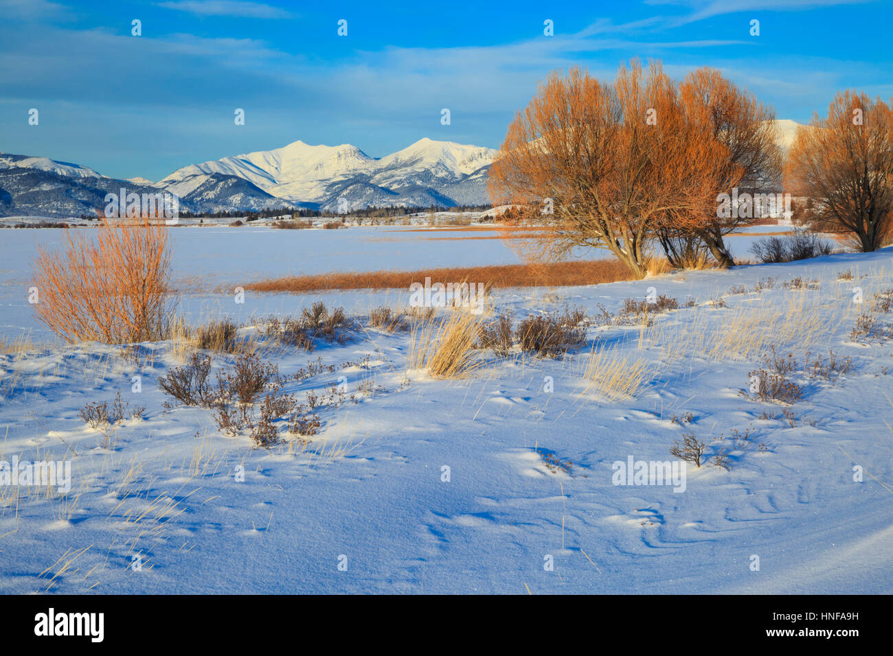 frozen browns lake in the blackfoot river valley and distant peaks near