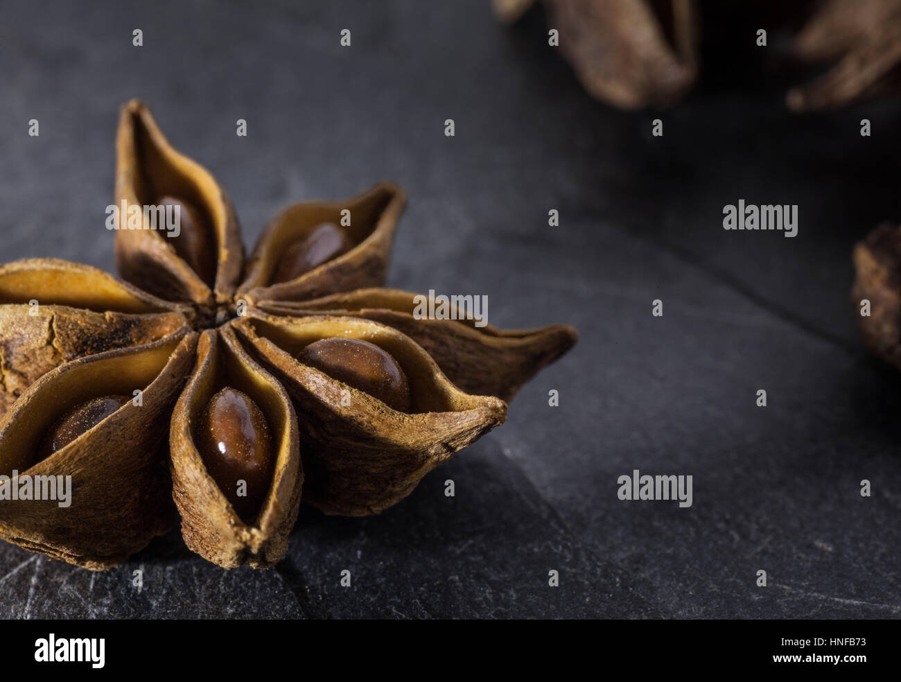 Close up showing the seed of the anise pod Stock Photo Alamy