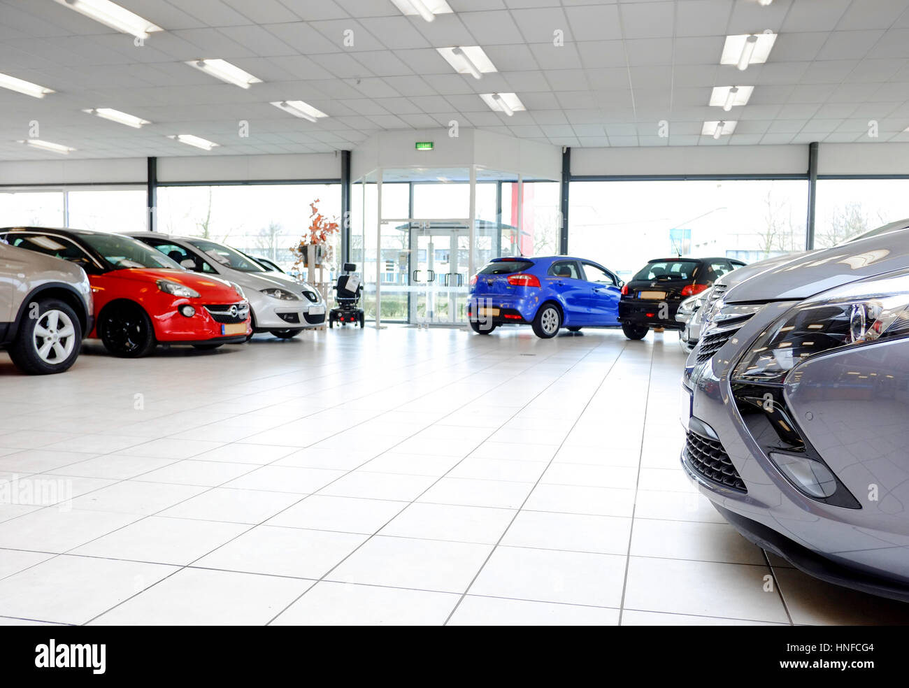 alto car showroom near me