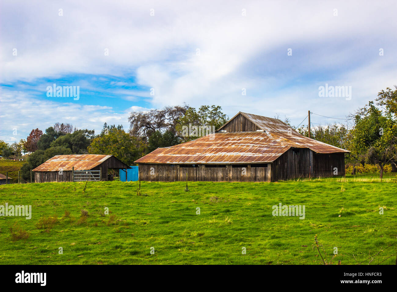 Old Tin Roof Barns On Local Ranch Stock Photo Alamy