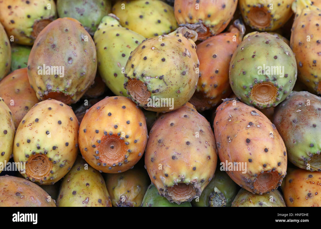 Fresh Opuntia ficus-indica (Indian fig, Prickly pear) cactus fruits sale on retail market stall display, close up Stock Photo