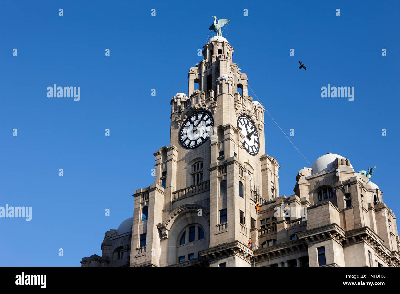 clock tower at the top of the liver building with workers on ropes liverpool uk Stock Photo