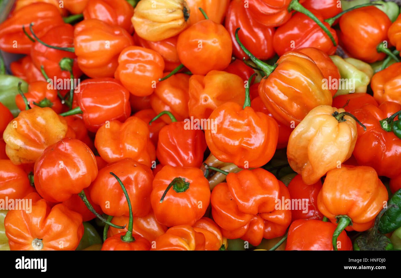 Sweet hot chili habanero (Aji Dulce) orange peppers on retail farmers market display, close up, elevated high angle view Stock Photo