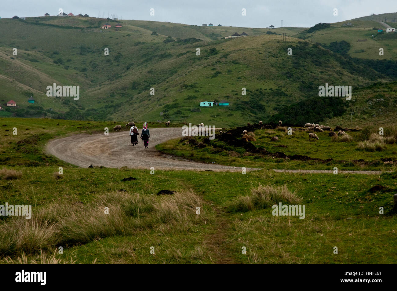 Local Xhosa people walking over rolling hills of the Transkei around Coffee Bay Eastern Cape South Africa Stock Photo