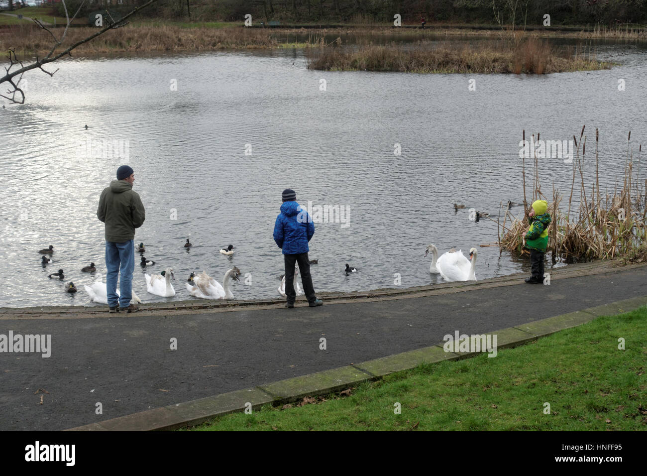 Bingham's Pond The boating pond on Great Western Road Glasgow Stock Photo