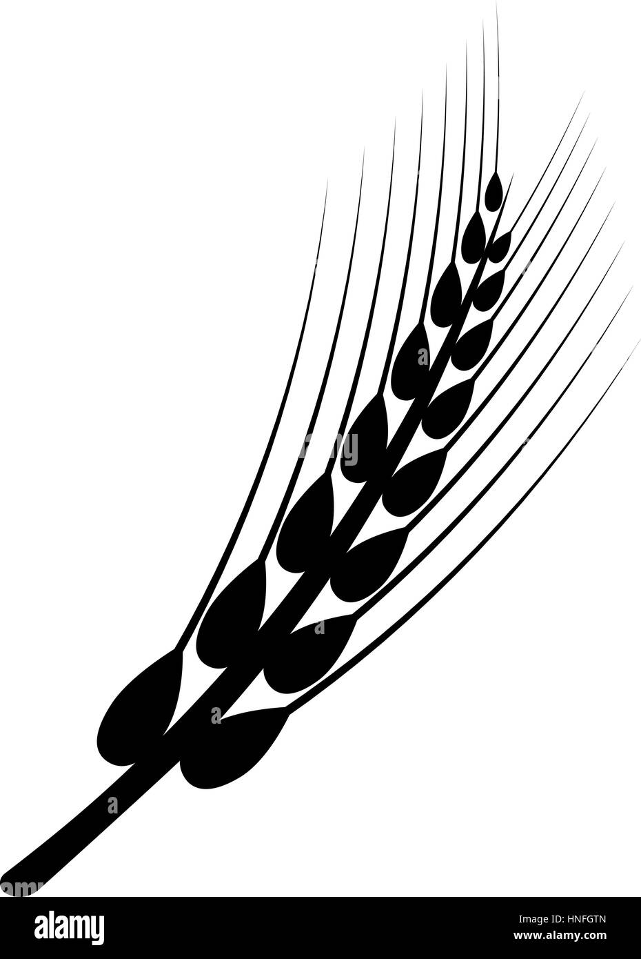Ears of wheat in front of white background. Vector Stock Vector