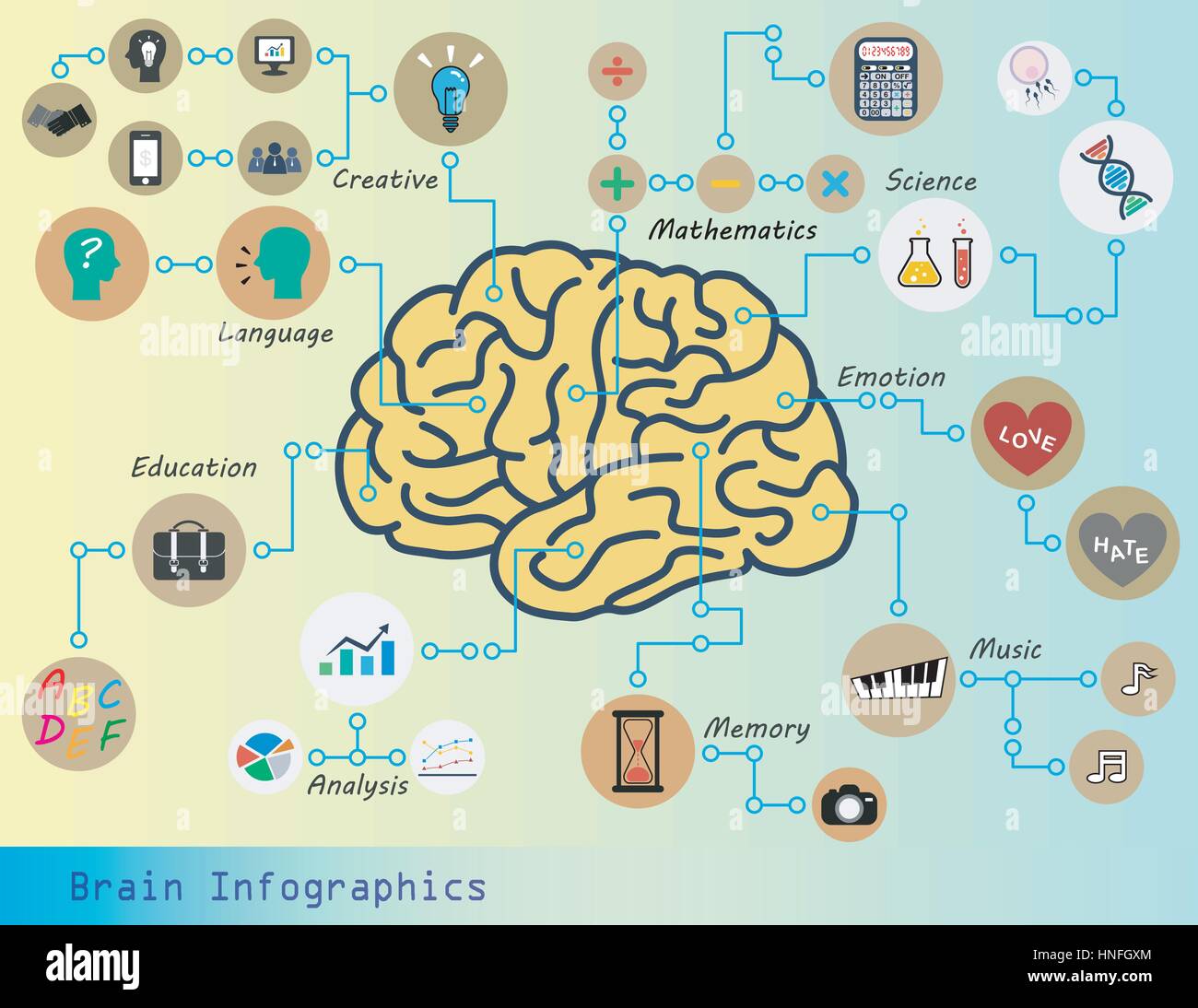 Brain Infographics (Brain function : Creative,Mathematics,Science,Emotion,Music,Memory,Analysis,Education,Language,etc.) Stock Vector