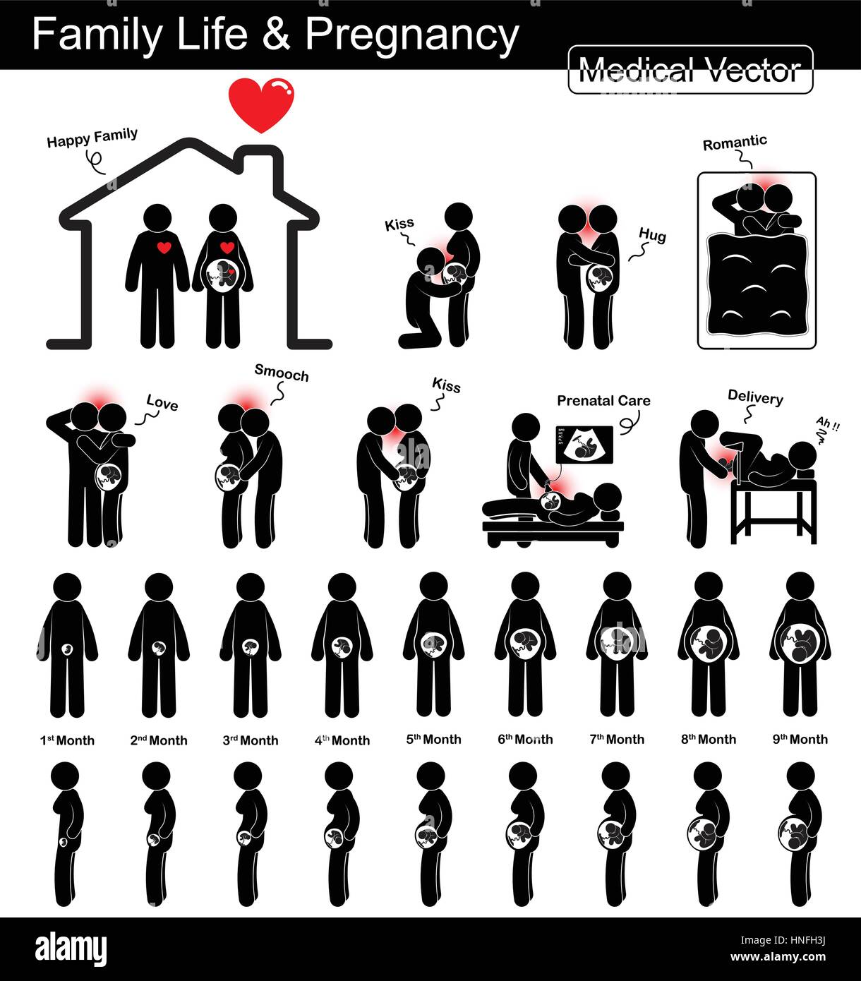 Family life during pregnancy and Fetal development ( pregnant woman and