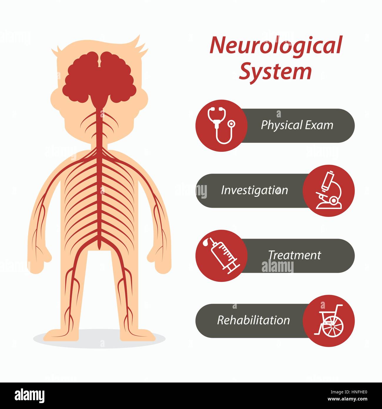 Neurological system and medical line icon Stock Vector Image & Art - Alamy