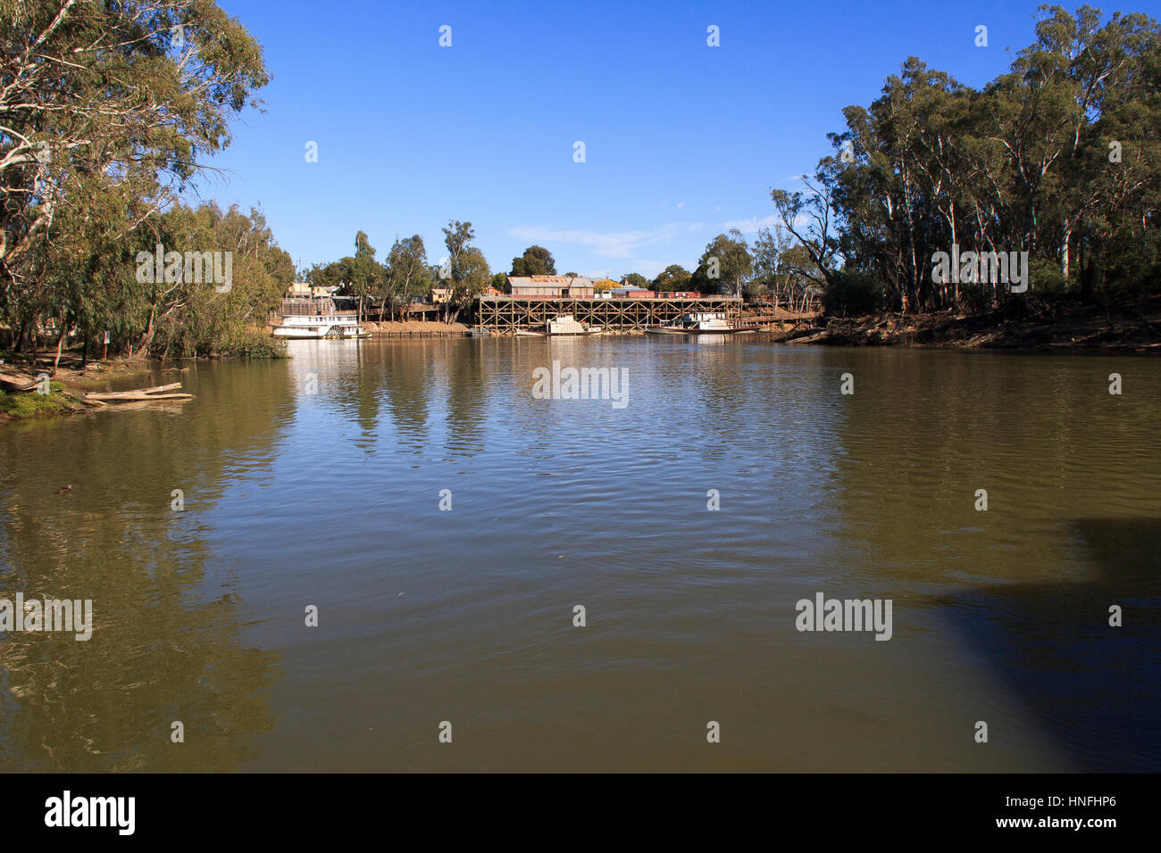 Koala hugging tree hi-res stock photography and images - Alamy
