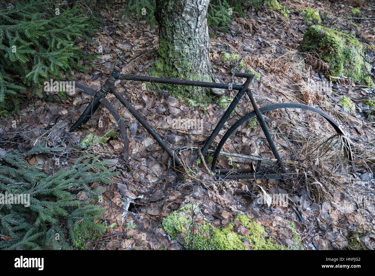An old bicycle in the Nuuksio national park, Espoo, Finland, EU Stock Photo