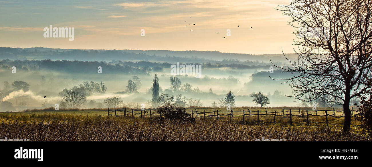 Sleepy hollow - mystical valley in fog with dark birds flying - panoramic Stock Photo