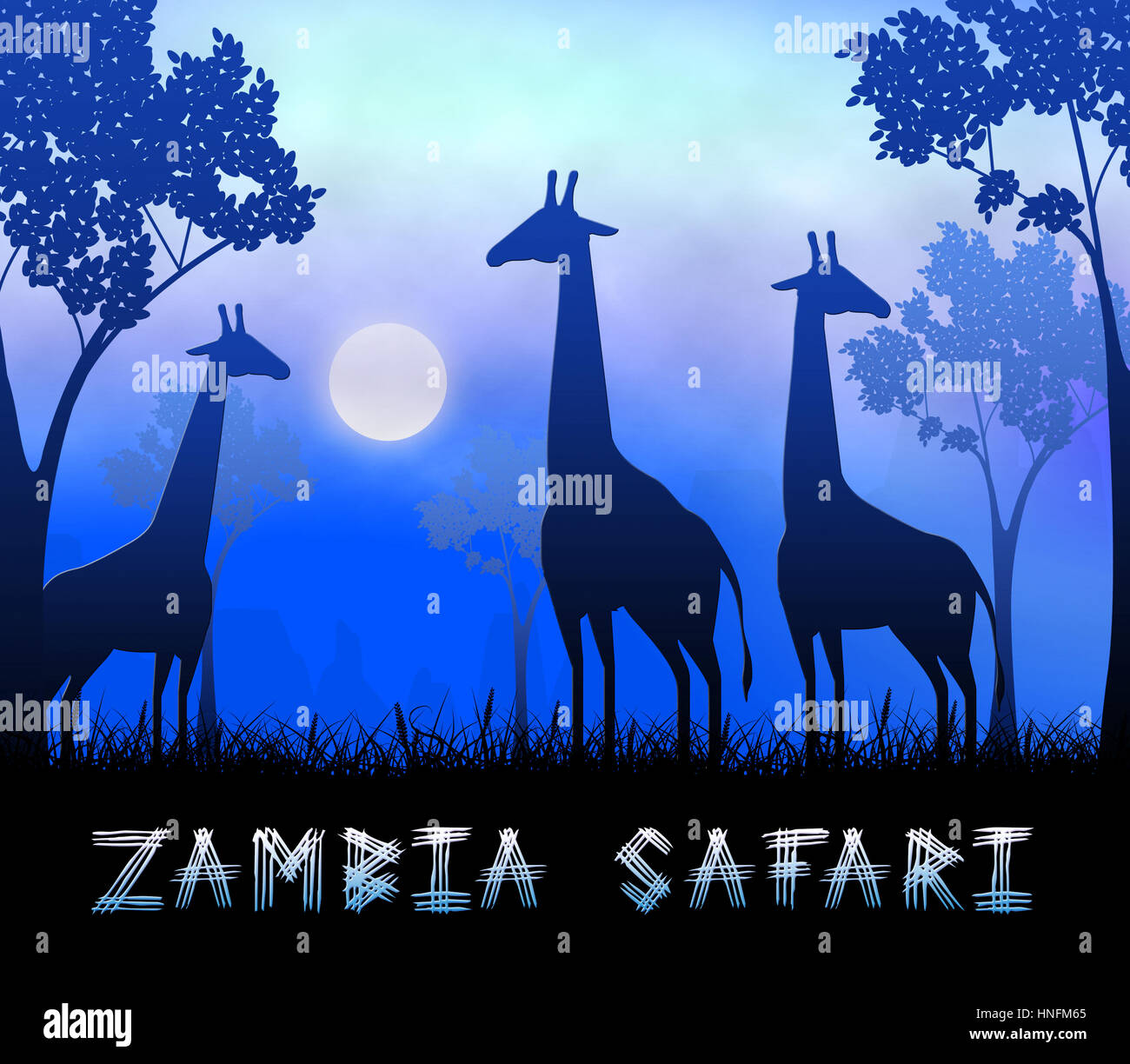 Zambia Safari Giraffes Showing Wildlife Reserve 3d Illustration Stock