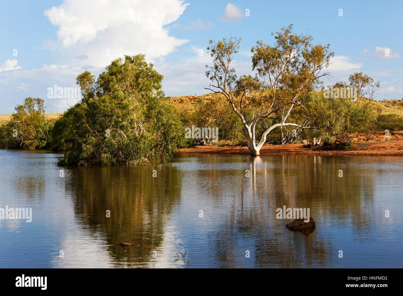 Australia billabong hi-res stock photography and images - Alamy