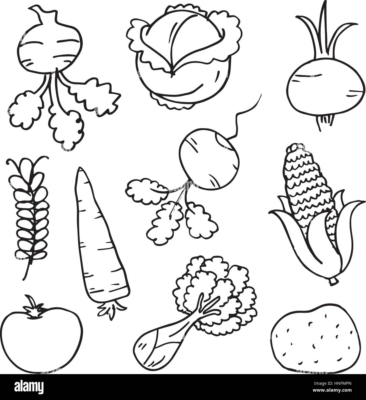 Doodle of vegetables hand draw on white backgrounds vector art Stock