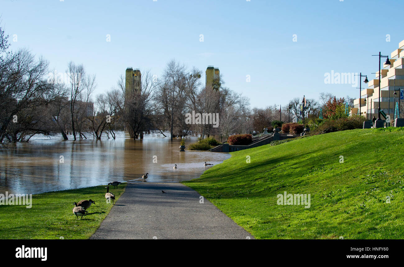 West Sacramento, California, USA. 12th Feb, 2017. The River Walk Park has been partly taken over by the Sacramento River due to heavy rains that have fallen in Northern California this winter. Sacramento Tower Bridge is in the front and Ziggurat Building on the right. Credit: AlessandraRC/Alamy Live News Stock Photo