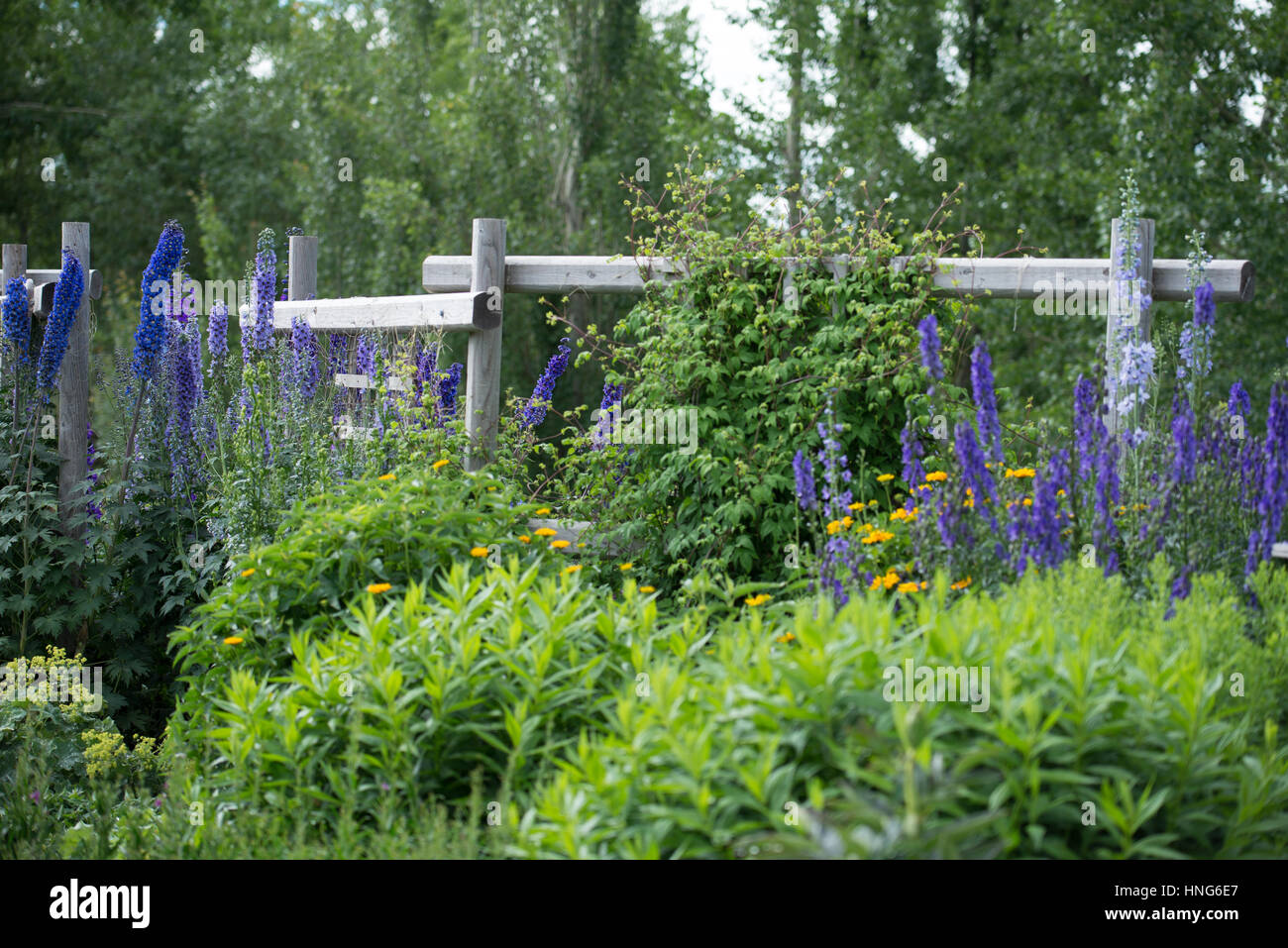 Fence post flowers hi-res stock photography and images - Alamy