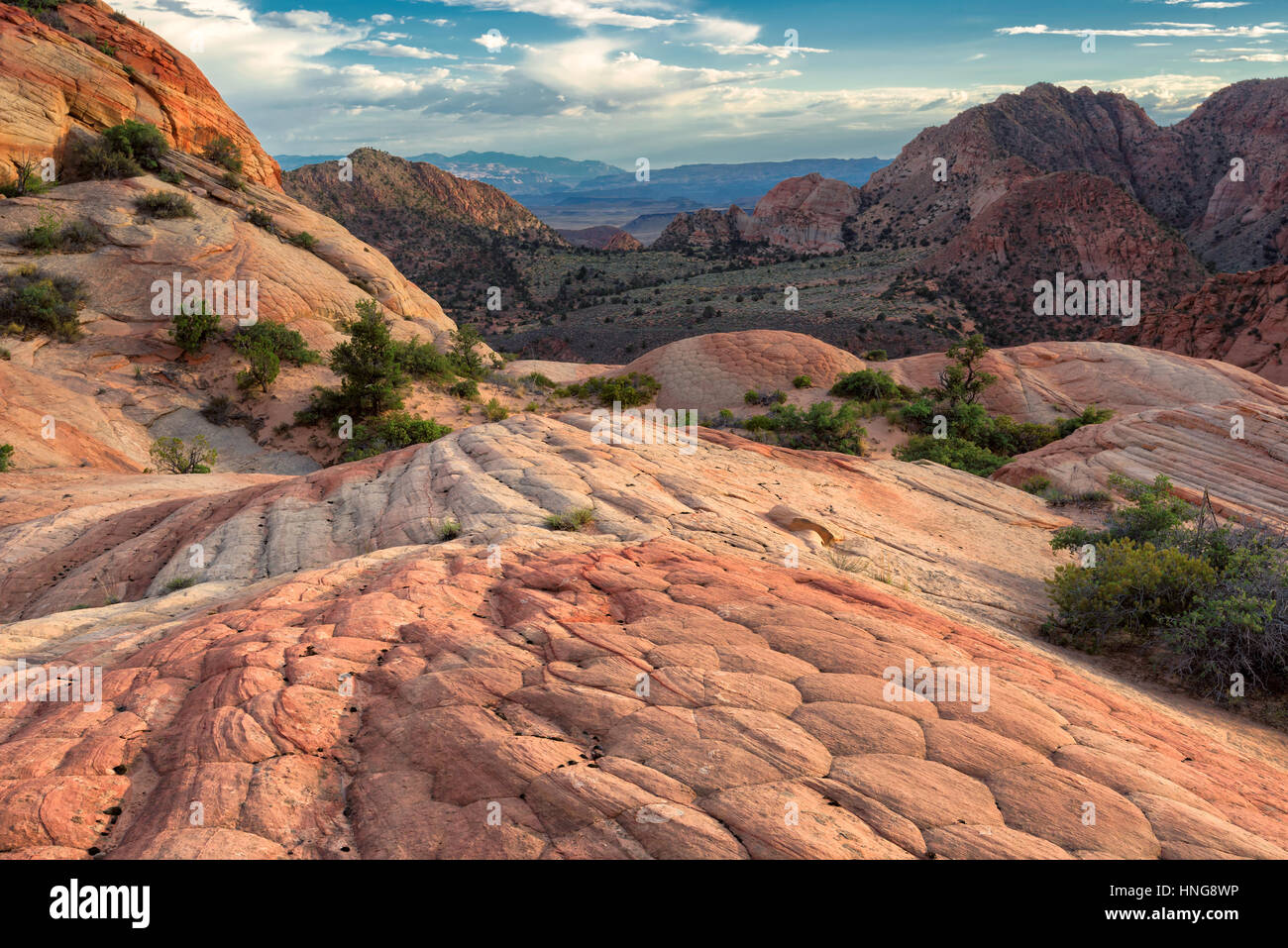 Utah landscape. Sandstone formations in Yant flats, Utah, USA. Stock Photo