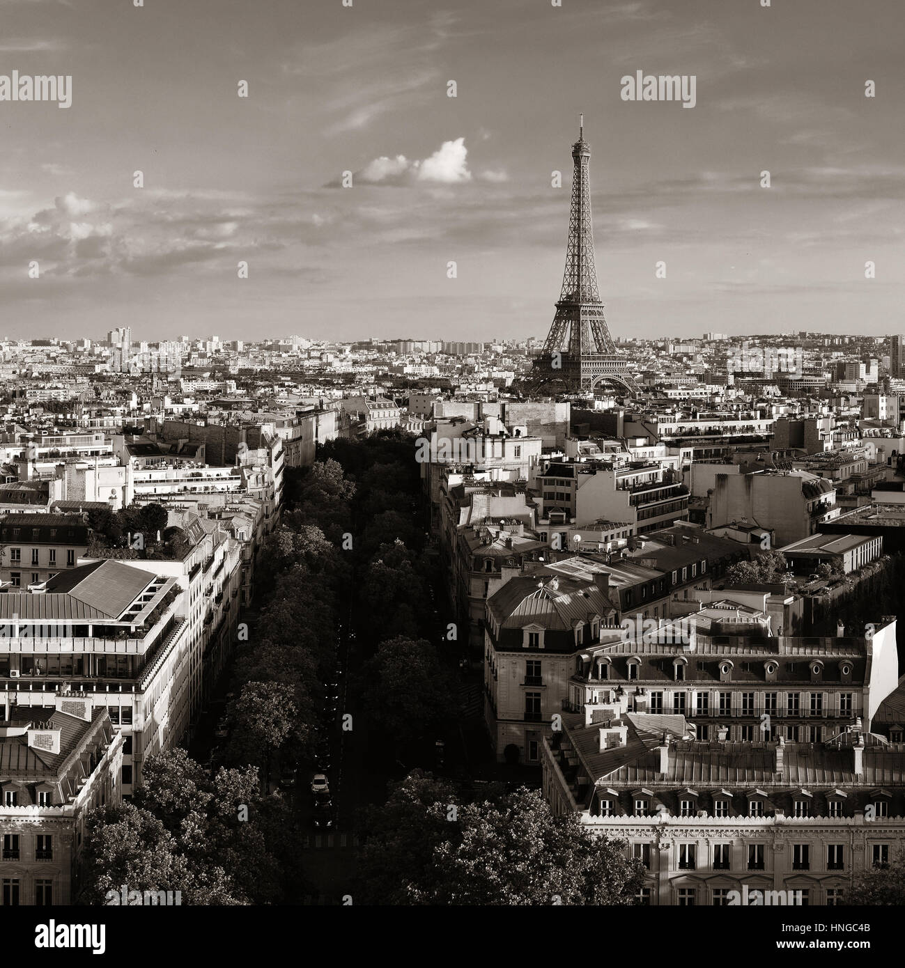 Paris rooftop view skyline and Eiffel Tower in France Stock Photo Alamy
