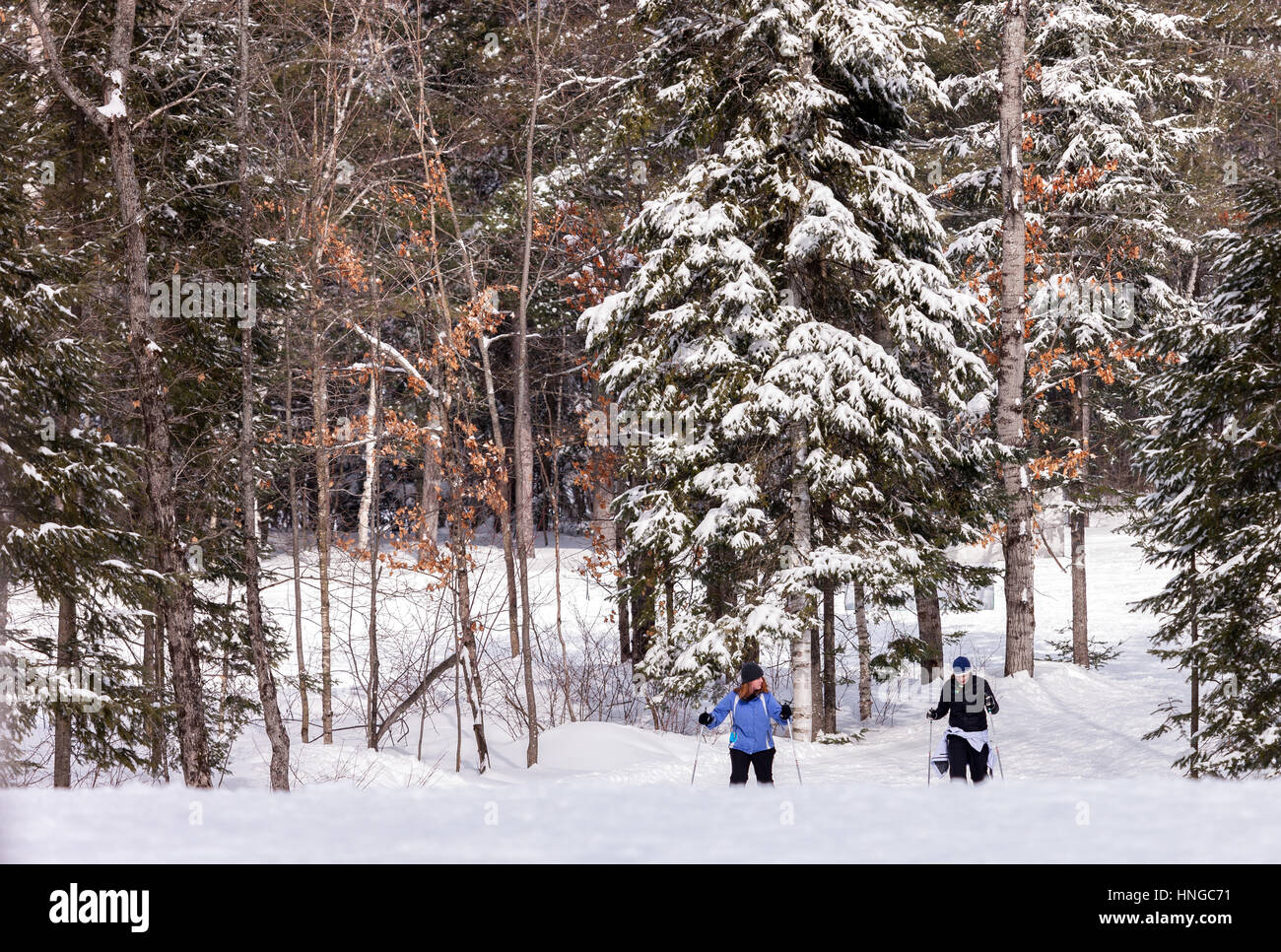 Cross Country Skiers Make Their Way Around Arrowhead Provincial