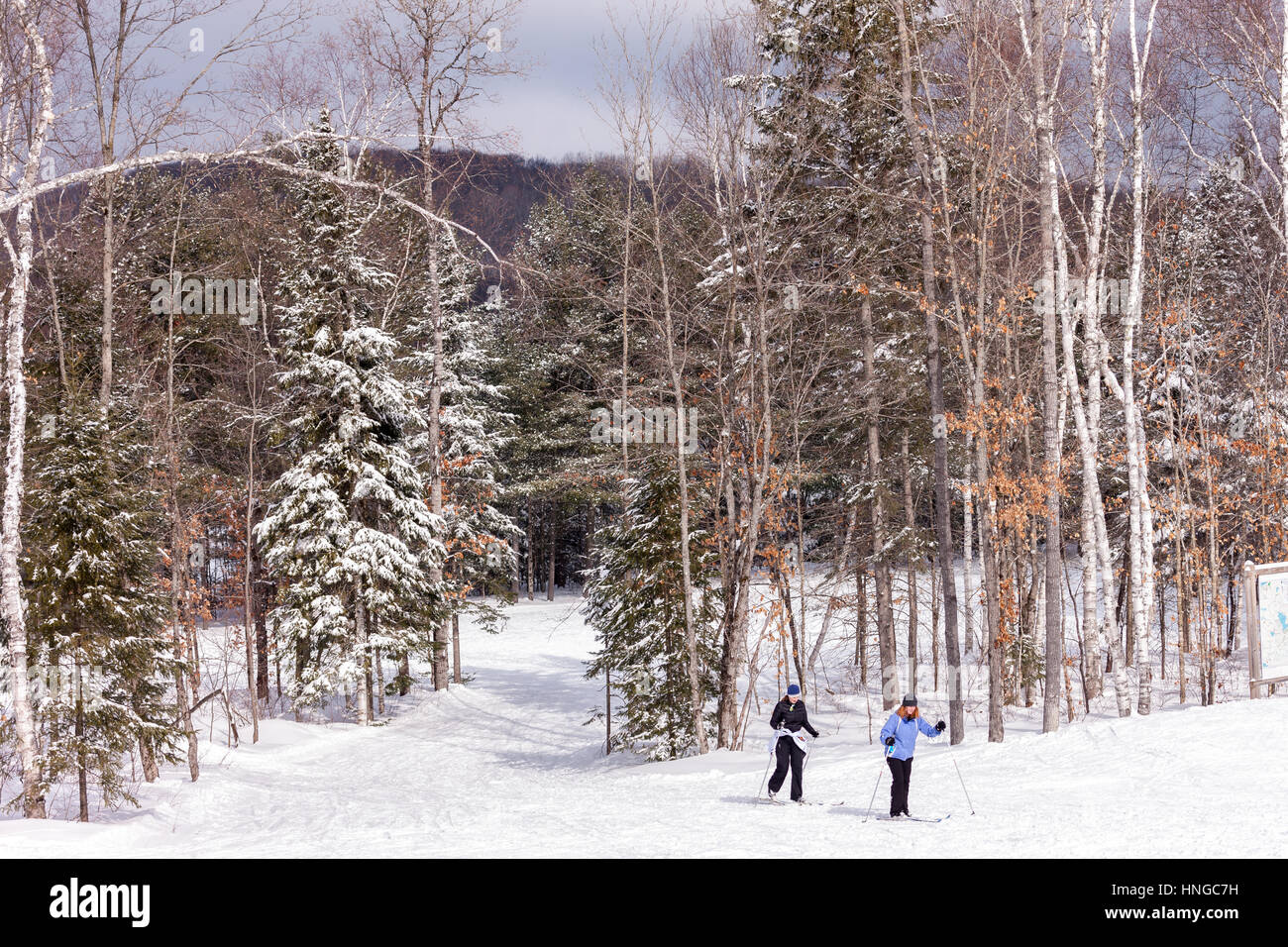 Cross Country Skiers Make Their Way Around Arrowhead Provincial