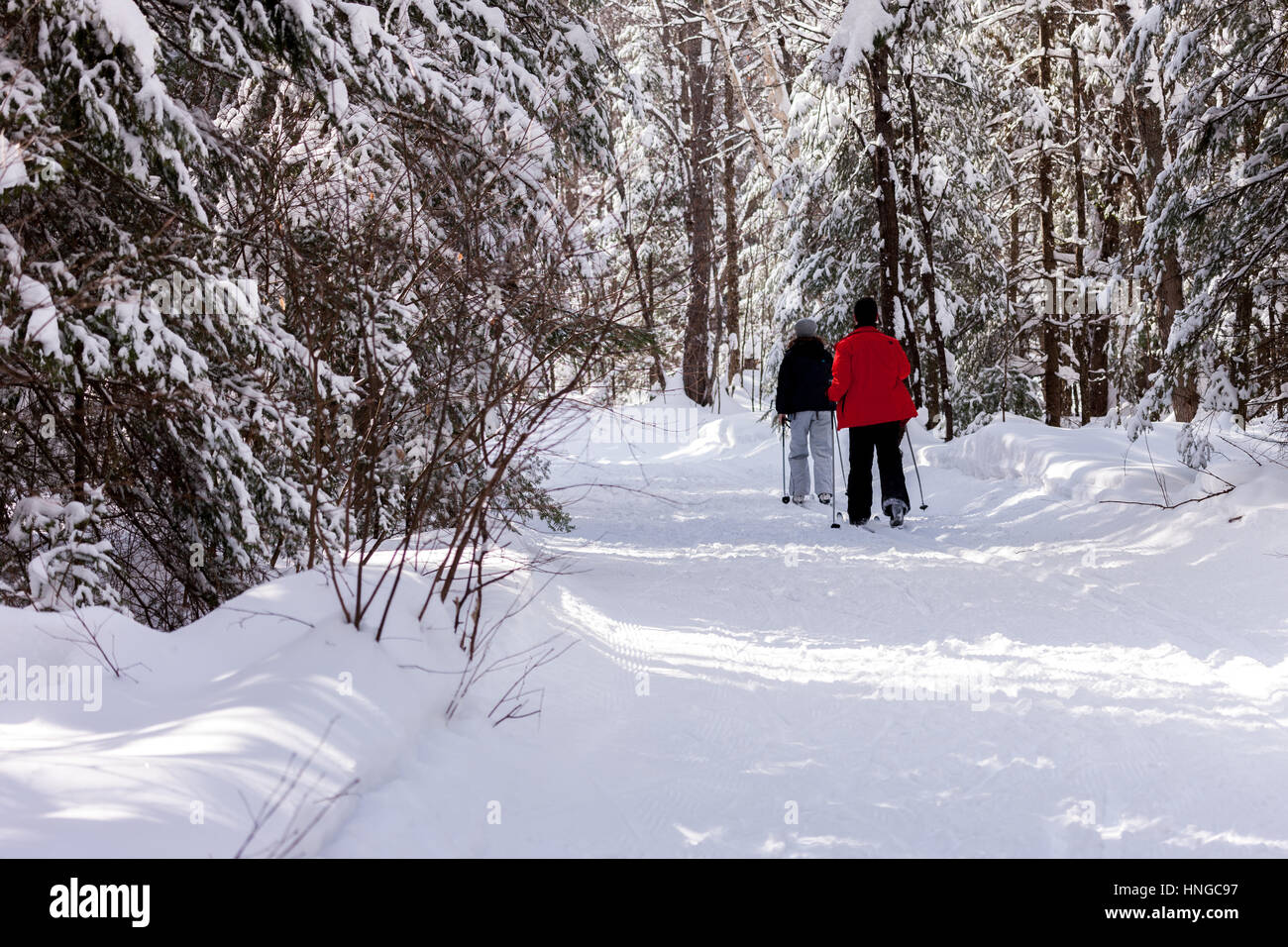 Cross Country Skiers Make Their Way Around Arrowhead Provincial