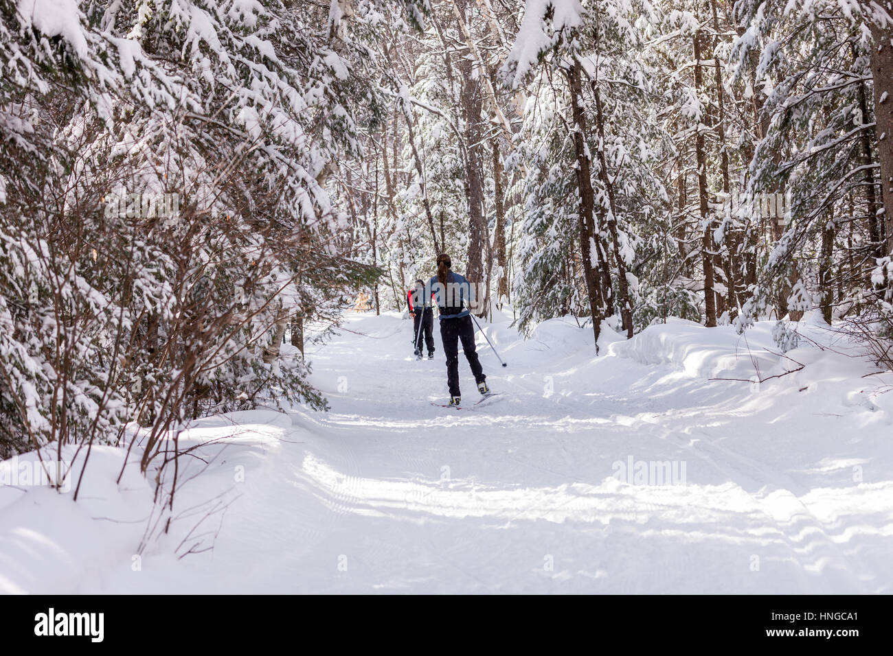 Cross country skiers make their way around Arrowhead Provincial Park in Ontario, Canada Stock