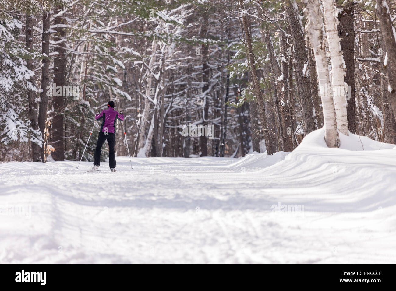 Cross country skiers make their way around Arrowhead Provincial Park in Ontario, Canada Stock
