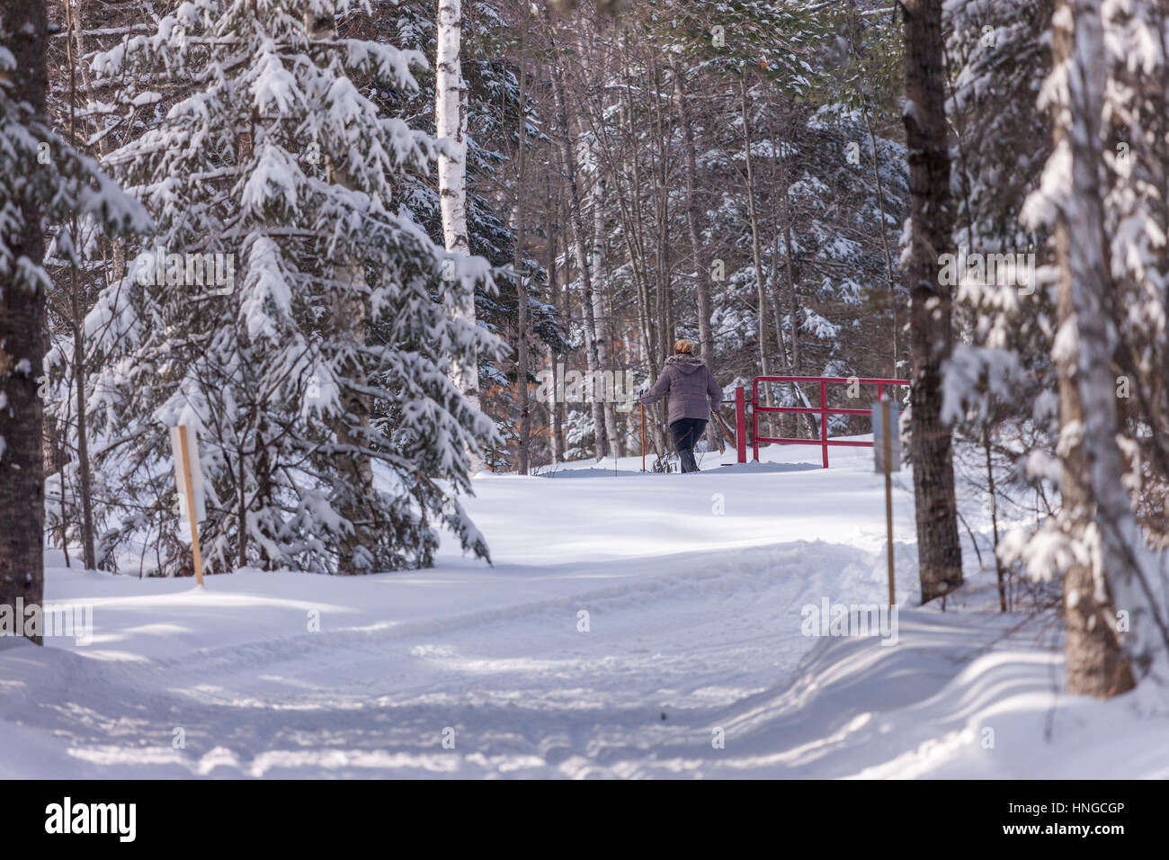 Cross country skiers make their way around Arrowhead Provincial Park in Ontario, Canada Stock